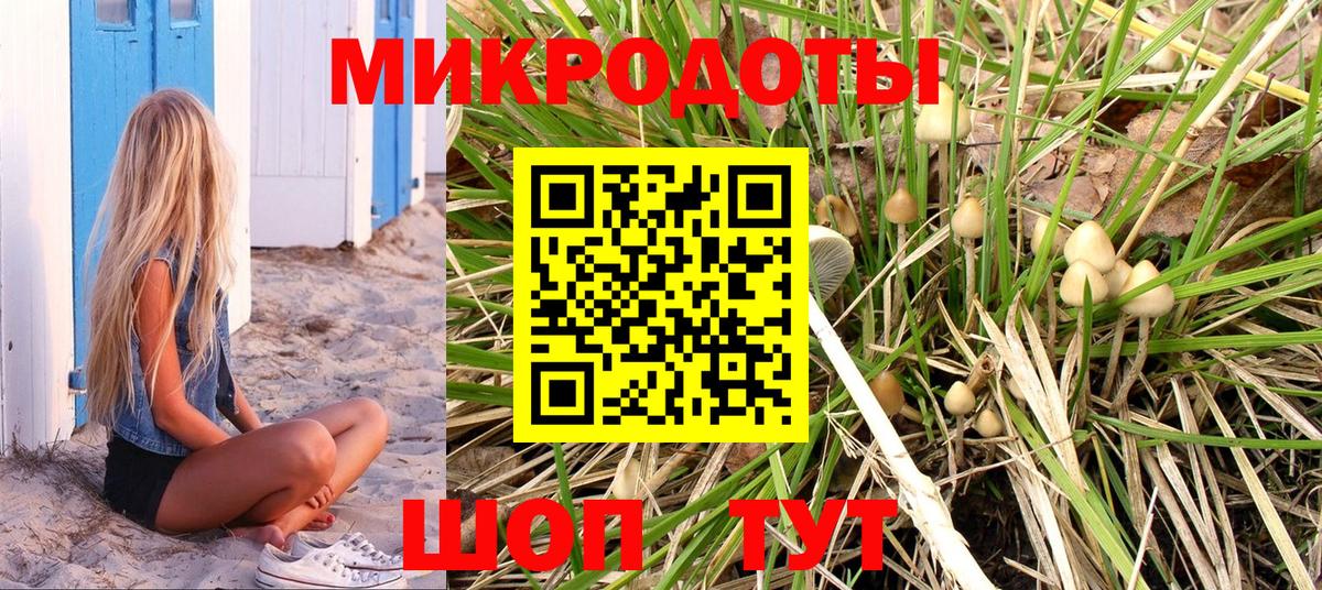 Псилоцибиновые грибы Psilocybe  Вход с VPN  Коммунар  Галлюциногенные грибы мицелий 
