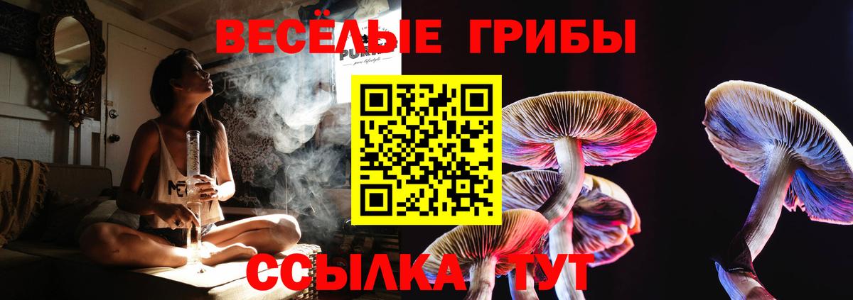 Псилоцибиновые грибы Cubensis Коммунар