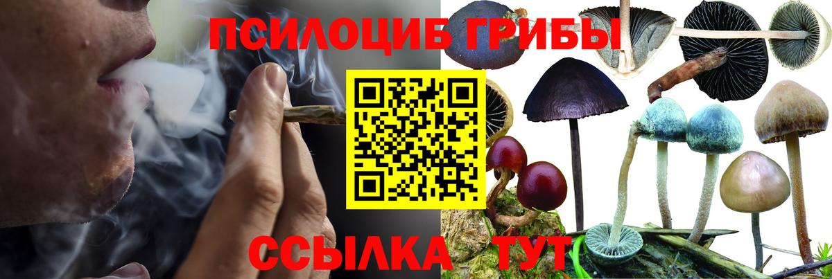 Меф мяу мяу Коммунар